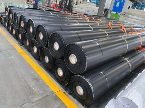 Bạt HDPE lót hồ tôm