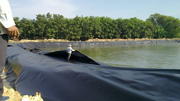 Bạt chống thấm HDPE làm hồ nuôi tôm