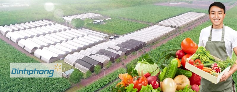 Màng nhà kính PE - phương pháp trồng trọt hiện đại