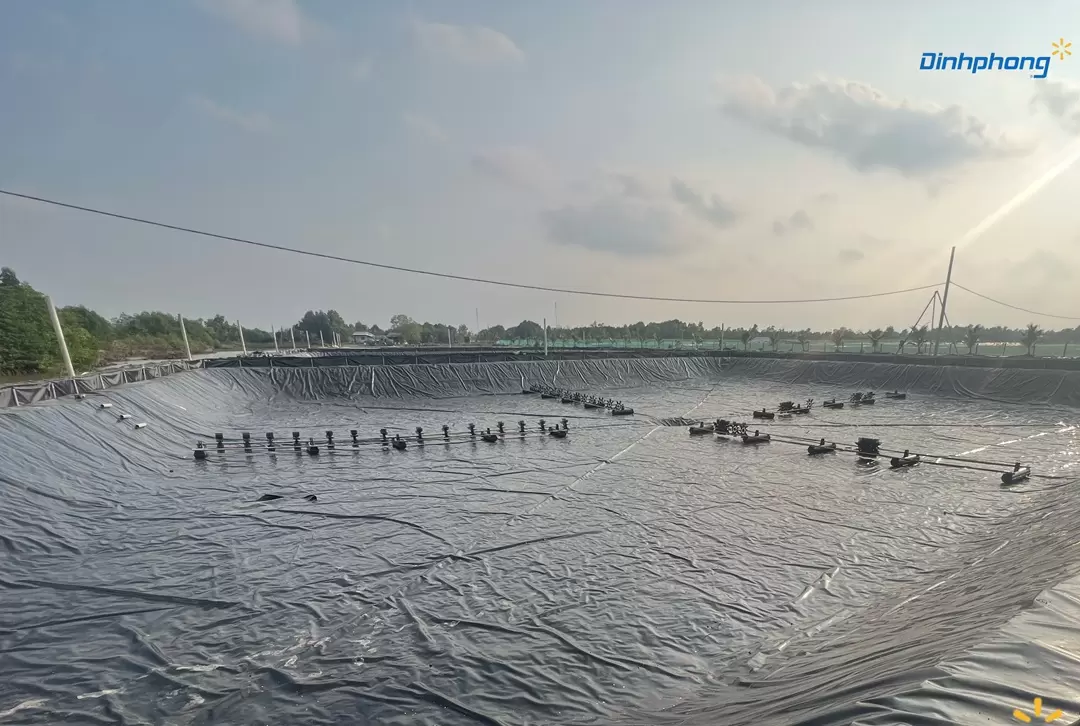 Hồ nuôi tôm hoàn thiện thi công trải lót bạt HDPE chống thấm ao