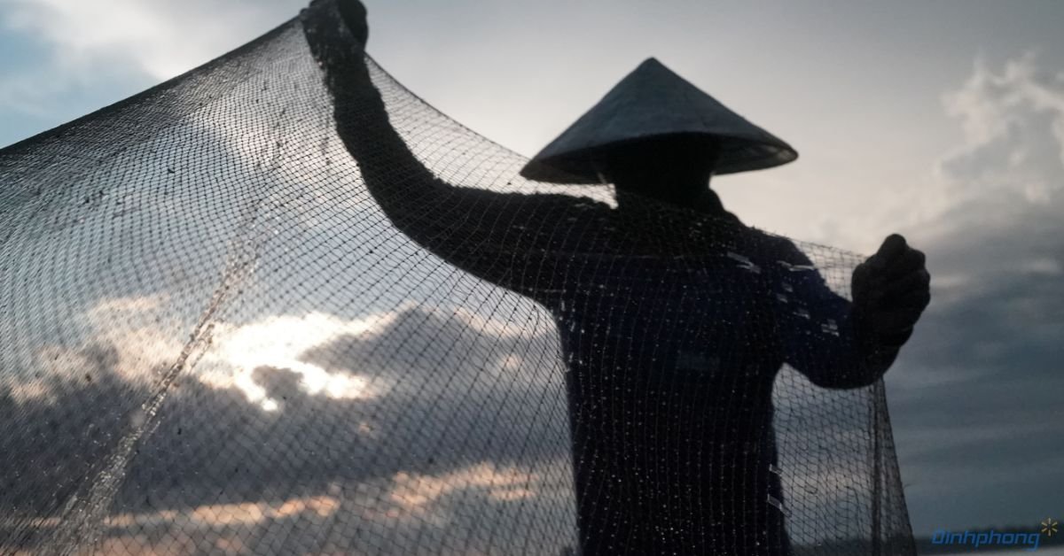 Người nuôi tôm đang kéo lưới lúc sáng sớm - minh họa thời điểm và kỹ thuật thu hoạch tôm sú ao bạt
